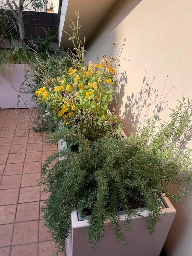 דירות ורונה La Terrazza Sull'Arena מראה חיצוני תמונה